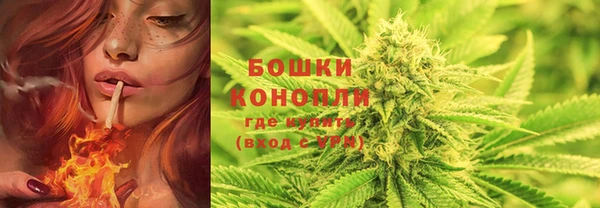 МДПВ Нягань