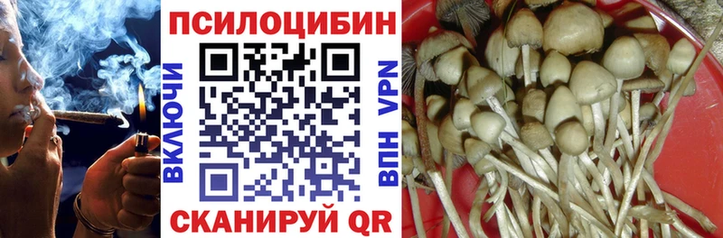 Псилоцибиновые грибы Psilocybe Усолье